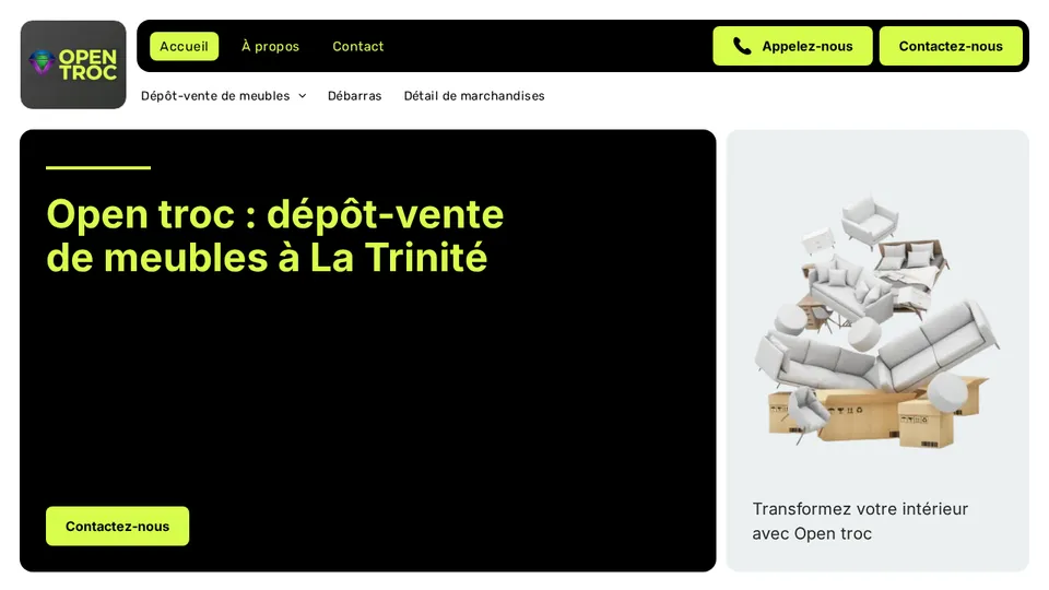 Aperçu du site de Open Troc