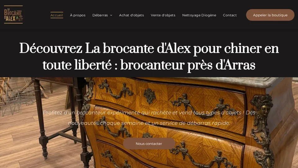 Aperçu du site de La Brocante d’Alex