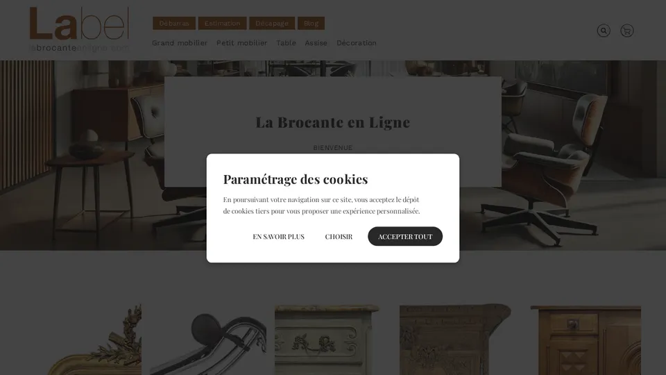 Aperçu du site de La Brocante En Ligne